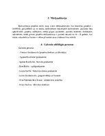 Biznesa plāns 'Komunikācijas plāns projektam "Projektors 2018"', 5.