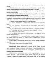 Referāts 'Latvijas reģionālā ekonomiskā attīstība', 5.