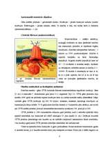 Referāts 'Ģenētiskās slimības', 6.