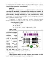 Referāts 'Ģenētiskās slimības', 7.
