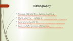 Prezentācija 'Cybercrime and cyber terorrism', 9.
