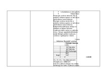 Prakses atskaite 'Prakses atskaite uzņēmumā', 9.