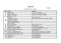 Prakses atskaite 'Prakses atskaite uzņēmumā', 28.