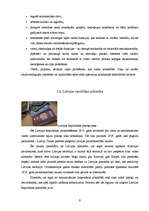 Referāts 'Latvijas valsts', 9.