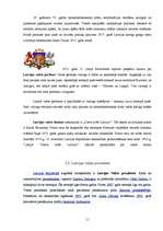 Referāts 'Latvijas valsts', 11.