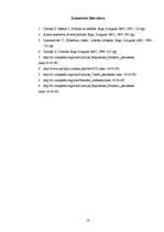 Referāts 'Latvijas valsts', 18.