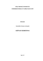 Referāts 'Slēptais mārketings', 1.