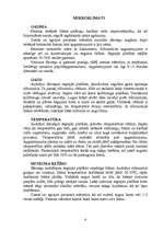 Referāts 'Segto platību sagatavošana dārzeņu audzēšanai', 6.