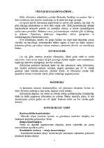 Referāts 'Segto platību sagatavošana dārzeņu audzēšanai', 7.