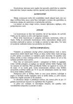 Referāts 'Segto platību sagatavošana dārzeņu audzēšanai', 8.