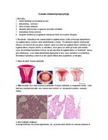 Konspekts 'Dzemdes endometrija hiperplāzija', 1.