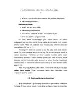 Referāts 'Bērnu spēju attīstība rotaļās vidējā pirmsskolas vecumā', 12.