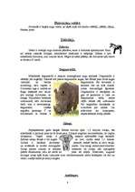 Referāts 'Āfrika', 8.