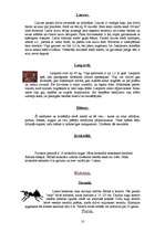 Referāts 'Āfrika', 10.