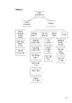 Referāts 'Interneta pieslēguma veidi Latvijā', 24.