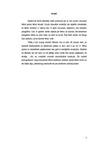 Referāts 'Konflikts', 3.