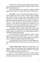 Referāts 'Ārējās vides ietekme uz uzņēmuma panākumiem', 10.