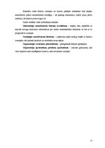 Referāts 'Ārējās vides ietekme uz uzņēmuma panākumiem', 13.