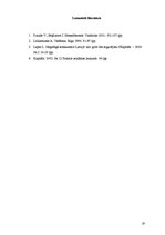 Referāts 'Ārējās vides ietekme uz uzņēmuma panākumiem', 19.