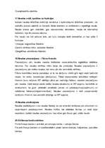 Konspekts 'Makroekonomikas termini', 6.