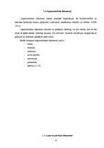 Prakses atskaite 'Lietvedība', 13.