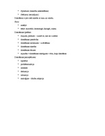 Konspekts 'Domāšana', 2.