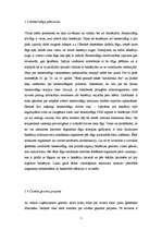 Referāts 'Biotehnoloģijas', 7.