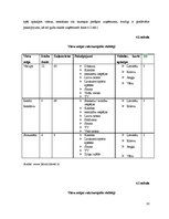 Referāts 'Mājas lapu analīze viesu mājām Zemgales reģionā', 20.
