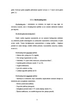 Referāts 'Alternatīvie enerģijas veidi', 11.