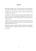 Diplomdarbs 'Personāla motivācija daudzkultūru uzņēmumā: SIA "Cemex" piemērs', 4.