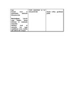 Konspekts 'Ziemassvētku gaidās. Stundas konspekts', 2.