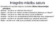 Prezentācija 'Integrēto mācību metodika', 7.