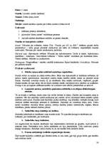 Prakses atskaite 'Vērojumu prakse sākumskolā', 24.