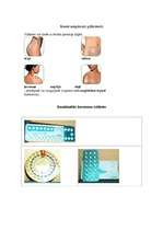 Referāts 'Kontracepcija', 5.