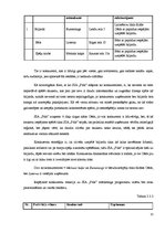 Referāts 'SIA "Pūls" komercdarbības plānošana', 13.