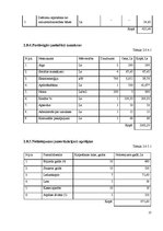 Referāts 'SIA "Pūls" komercdarbības plānošana', 22.