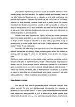 Referāts 'Jānis Rainis', 3.