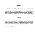 Referāts 'Pārapdzīvotības problēmas Rīgas centrā, jauniešu attieksme pret tām, to iespējam', 2.