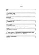 Referāts 'Pārapdzīvotības problēmas Rīgas centrā, jauniešu attieksme pret tām, to iespējam', 3.