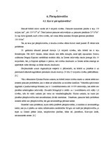 Referāts 'Pārapdzīvotības problēmas Rīgas centrā, jauniešu attieksme pret tām, to iespējam', 9.