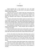 Referāts 'Pārapdzīvotības problēmas Rīgas centrā, jauniešu attieksme pret tām, to iespējam', 20.