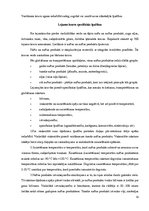 Referāts 'Masveida un atsevišķu kravu pārvadājumu tehnoloģija', 13.