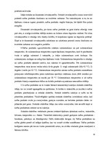 Referāts 'Masveida un atsevišķu kravu pārvadājumu tehnoloģija', 14.