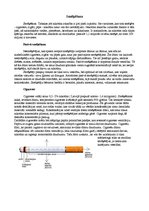 Paraugs 'Smēķēšana', 3.