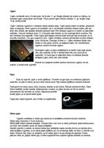 Paraugs 'Smēķēšana', 4.