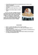 Paraugs 'Smēķēšana', 10.