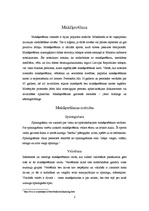 Konspekts 'Jaunākās tendences makšķerēšanā', 2.