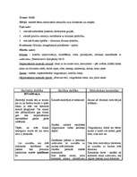 Konspekts 'Integrēta nodarbība 4.klasei', 2.