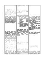 Konspekts 'Integrēta nodarbība 4.klasei', 3.