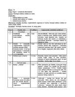 Konspekts 'Integrēta nodarbība 4.klasei', 6.